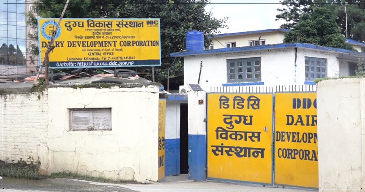 डिडिसीको दैनिक कारोबार १ करोड पुग्यो, डेढ वर्षभित्र ऋण चुक्ता गर्ने लक्ष्य