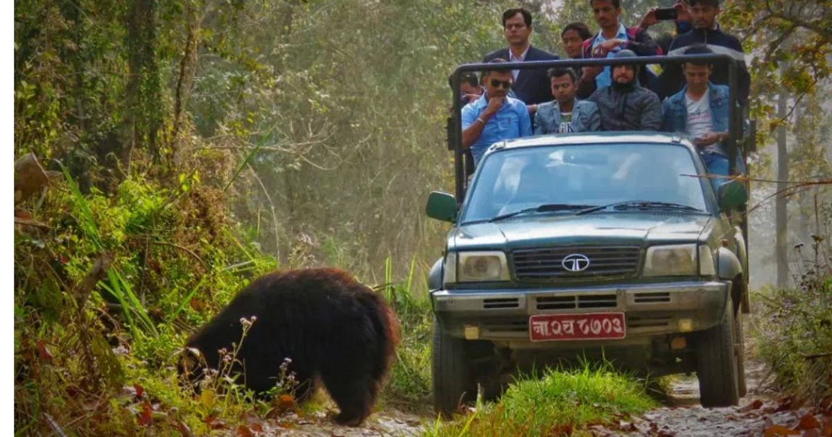 चितवन राष्ट्रिय निकुञ्जमा पर्यटकको लर्को : ११ महिनामा १ लाख ६८ हजारभन्दा बढी पर्यटक भित्रिए