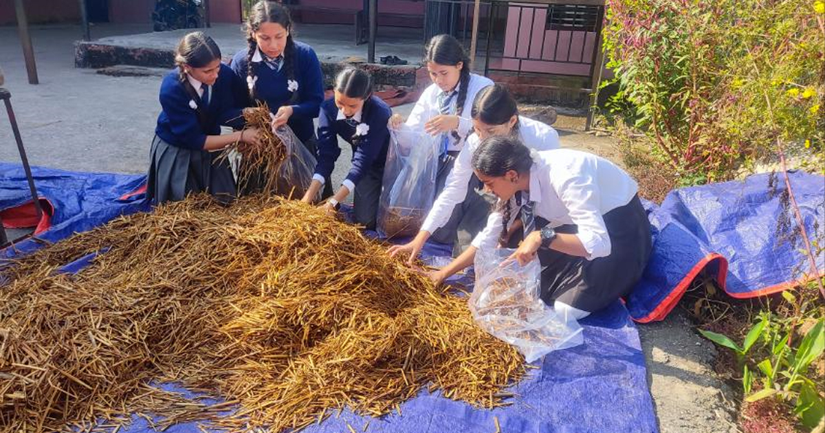 लमजुङमा विद्यार्थीद्वारा व्यावसायिक च्याउखेती सुरु