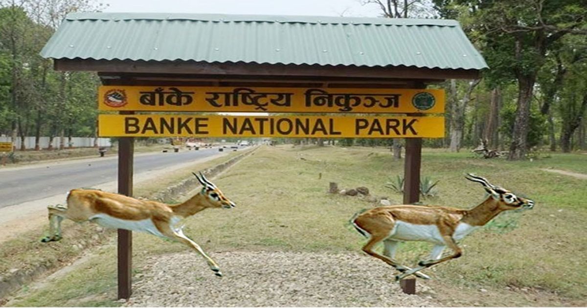 मानव-वन्यजन्तु द्वन्द्व न्यूनीकरण गर्न बाँके निकुञ्जका ४ गाउँमा साइरन जडान