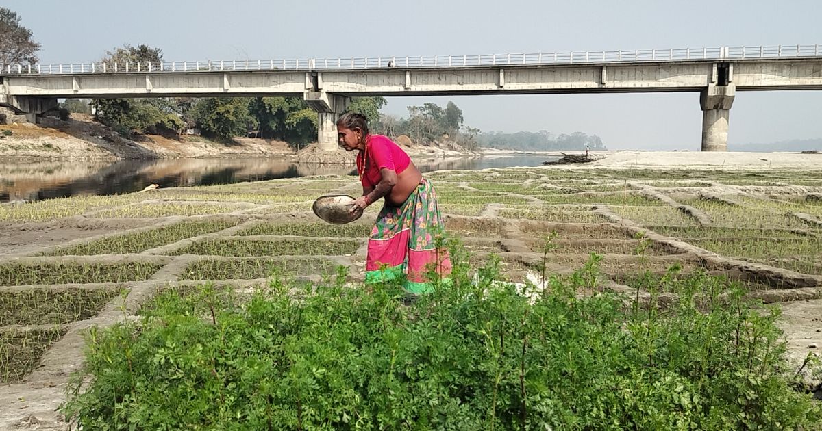 बर्दियामा बगरखेतीले फेरिँदै फाँटाका किसानको जीवन