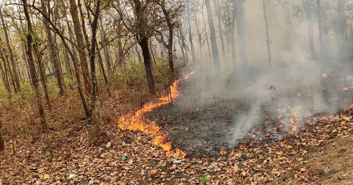 दक्षिणकालीको वन क्षेत्रमा डढेलो, बस्ती जोखिममुक्त भए पनि आगो नियन्त्रणमा आउन सकेन