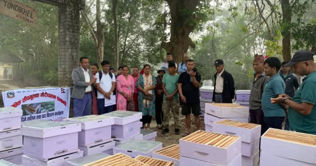 बन्दीपुरमा मह उत्पादन बढाउन किसानलाई ५० प्रतिशत अनुदानमा मौरीसहित घार वितरण
