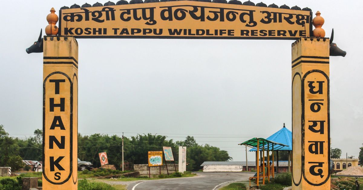 चराको स्वर्ग ‘कोशीटप्पु वन्यजन्तु आरक्ष’मा पर्यटकको आकर्षण, जेठसम्म ९ हजारभन्दा बढीले गरे भ्रमण