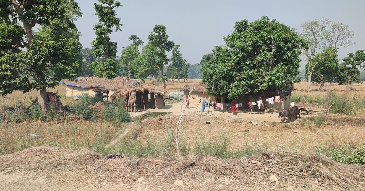 शुक्लाफाँटामा हात्तीले दुई घर भत्कायो