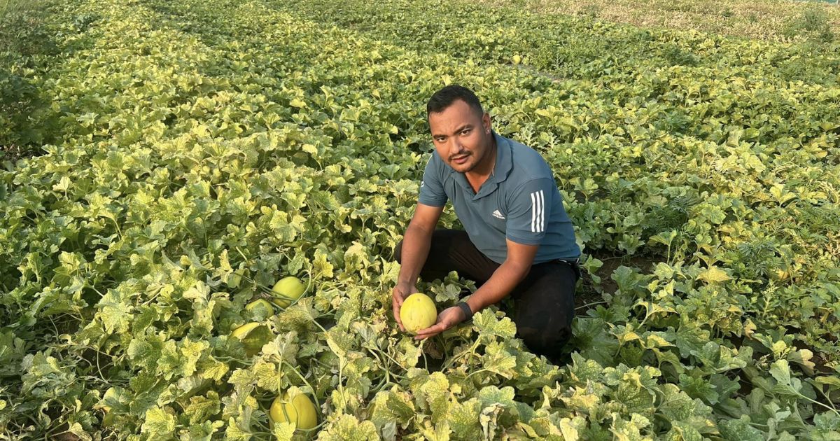 दाङमा तरबुजाखेतीबाट दुई युवाको सफलता, एक वर्षमै १२ लाख आम्दानी