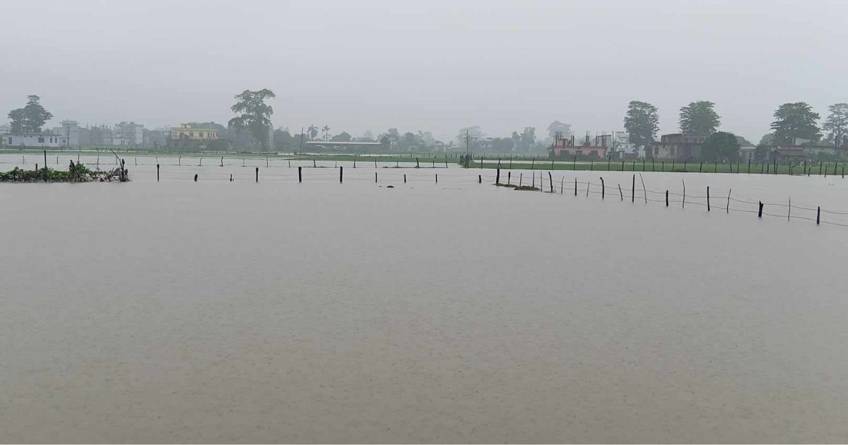 कञ्चनपुरमा यस वर्षकै भारी वर्षा : तटीय क्षेत्रमा सतर्कता अपनाउन आग्रह, बनबासा पुलमा चारपाङ्ग्रे रोक
