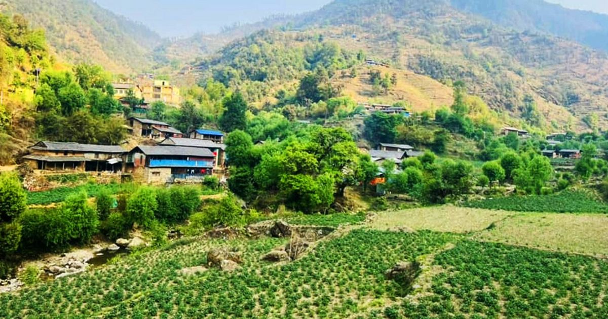 बागलुङको खेतीयोग्य माटोमा अम्लीयपन बढ्दै, ६२ प्रतिशत नमूनामा अम्लीयपन