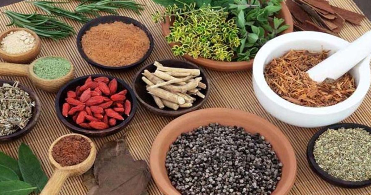 काँकडभिट्टा नाकाबाट एकै वर्षमा १४ करोडभन्दा बढीको जडीबुटी निर्यात, बंगलादेशतर्फ माग बढ्दै
