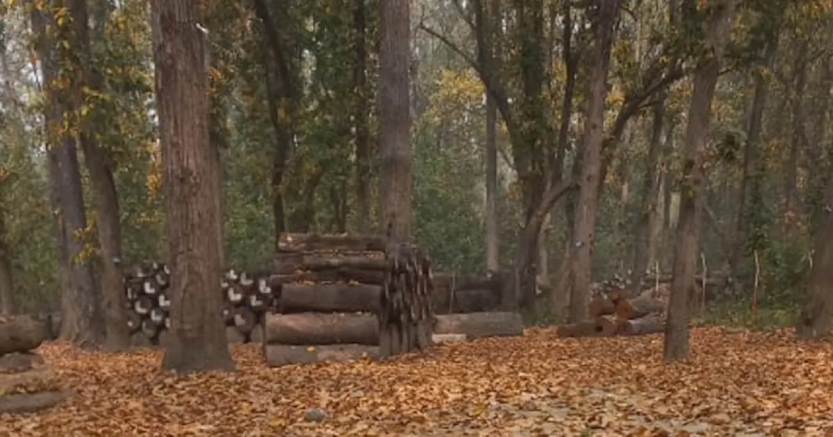 कञ्चनपुरमा डढेलोको उच्च जोखिम : पूर्वतयारी सुस्त हुँदा वनसम्पदा र जैविक विविधता संकटमा