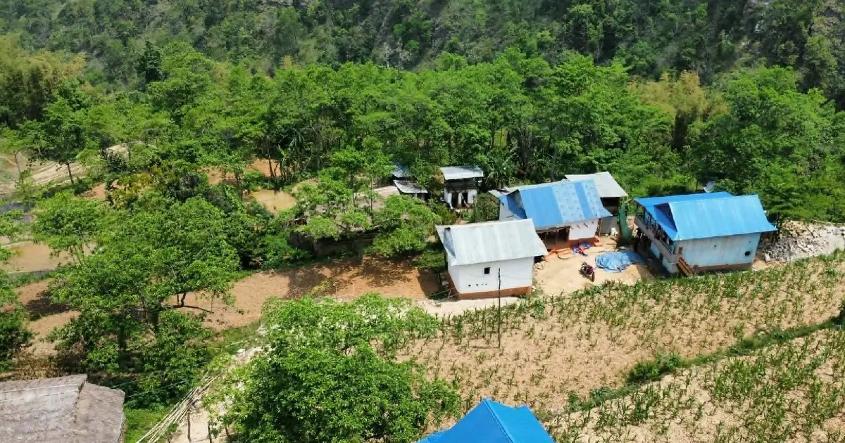 व्यावसायिक रुद्राक्ष खेतीबाट भोजपुर मैदानेका किसानको आम्दानी बलियो, वडाले ‘पकेट क्षेत्र’ बनाउने