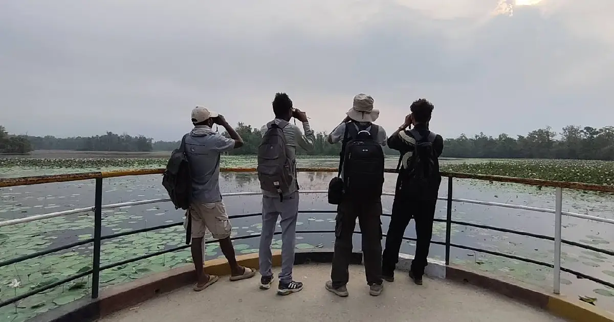 कति छन् घोडाघोडीमा हरिहाँस ? तीन दिने गणना सुरु