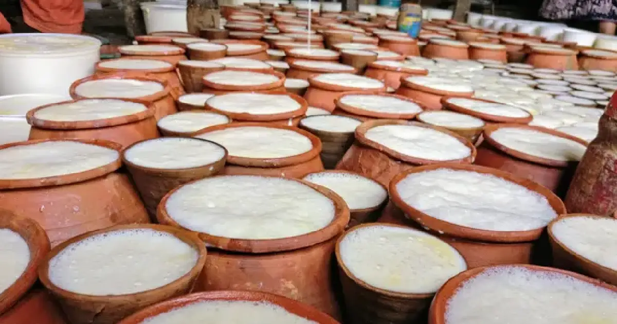 असार १५ को रौनक : भक्तपुरबाट एकै दिनमा एक लाख लिटरभन्दा बढी ‘जुजु धौ’ बिक्री