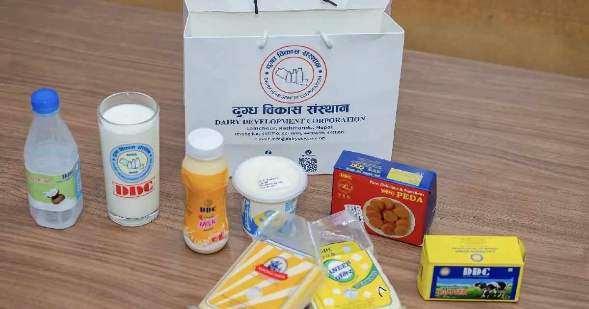 घाटामा रहेको डिडिसी कसरी गयो नाफामा ?