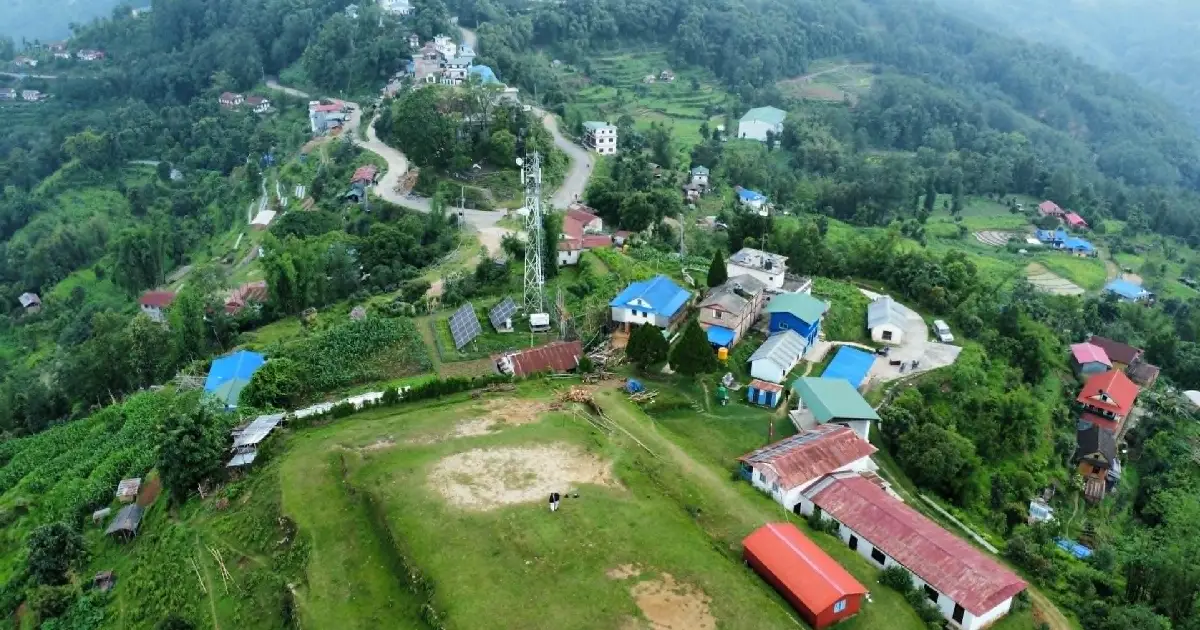 किसानलाई बजारको ग्यारेन्टी, टेम्केमैयुङले ५०० टन रायो र मूला खरिद गर्ने