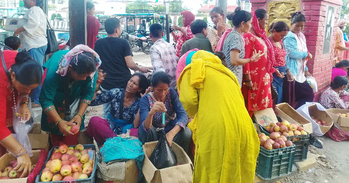 कर्णालीको स्याउ, नेपालगन्जमा तीजको लोकप्रिय कोसेली