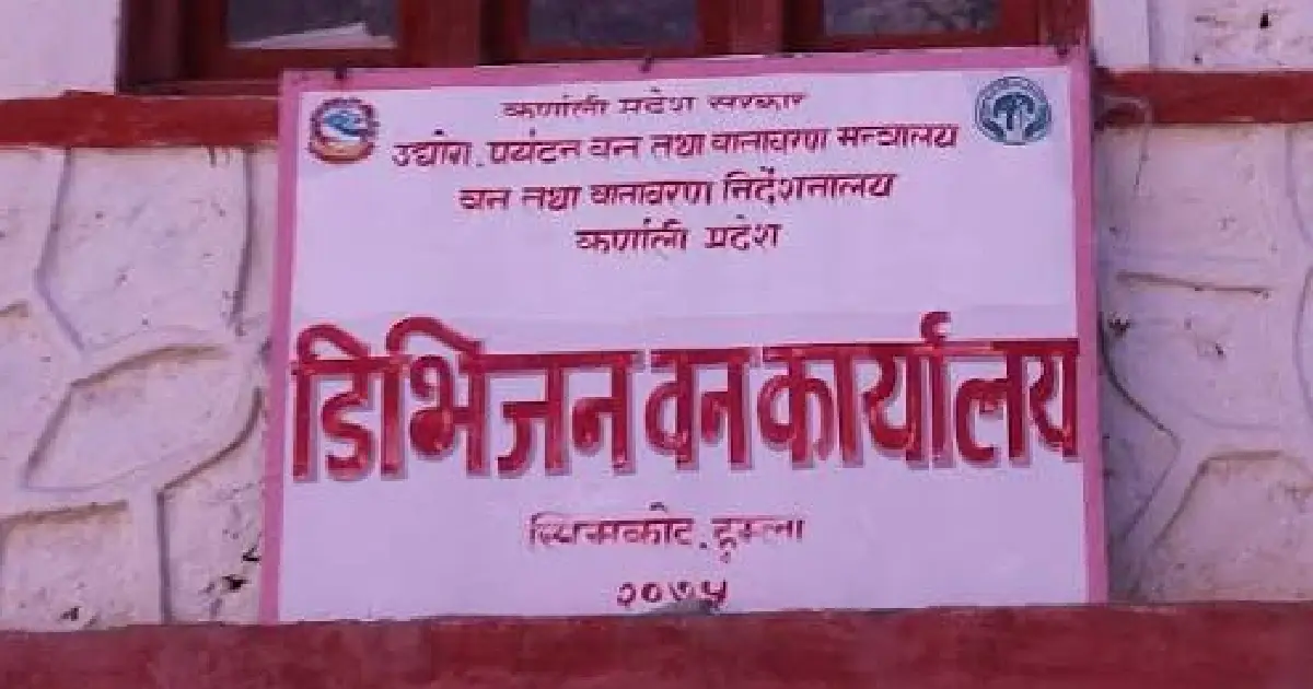 हुम्लाको चङ्खेलीमा बाह्रै महिना अवैध जडीबुटी संकलन र चोरीनिकासी तीव्र, नियमनको अभावमा बहुमूल्य वन पैदावारको दोहन