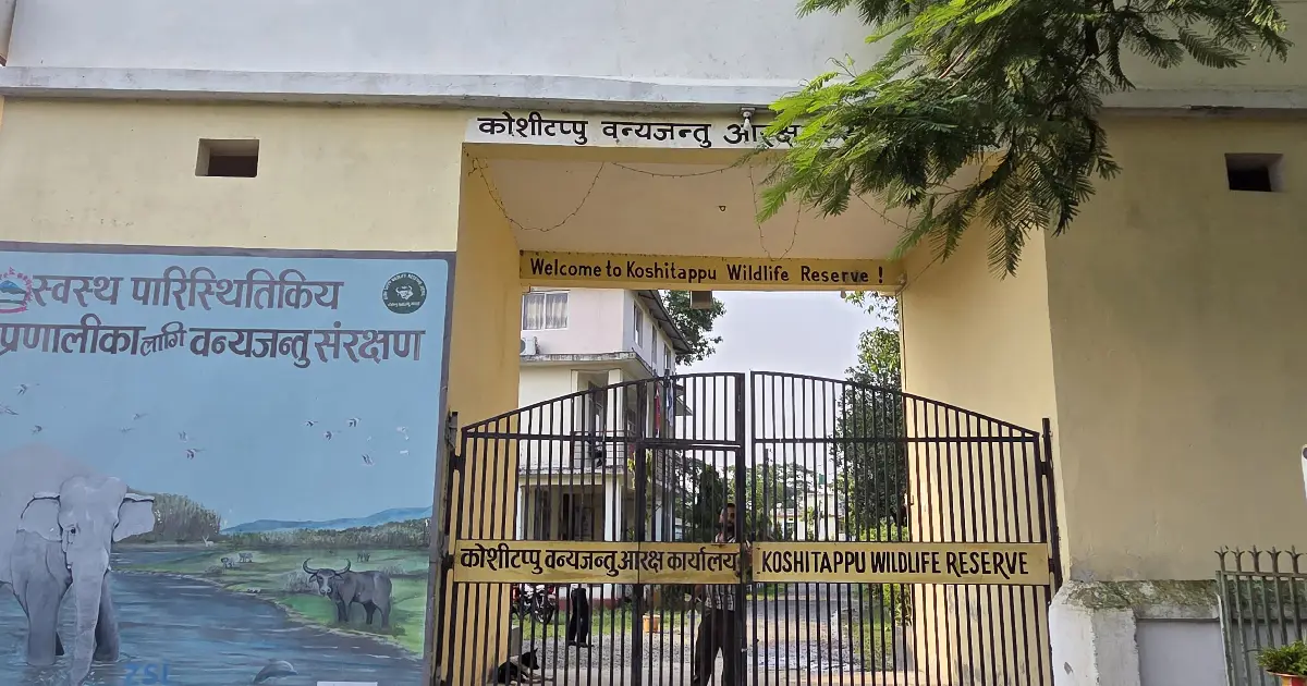 कोशी टप्पुमा ८ वर्षमा ९० हजार पर्यटक भित्रिँदा विदेशीको संख्या दुई हजार मात्र