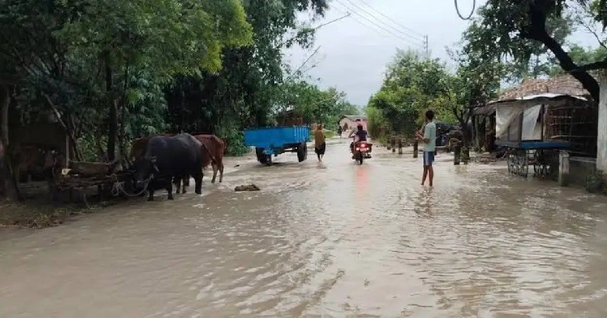 सप्तकोशीको बाढीले सप्तरीमा ५०० घर डुबानमा, दुई हजारभन्दा बढी परिवार प्रभावित