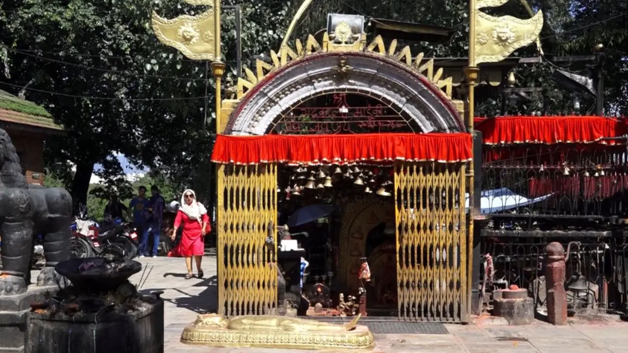 महाअष्टमीमा पशुबलि किन ? शास्त्रीय मान्यता के छ ? पशुको मुक्ति ?