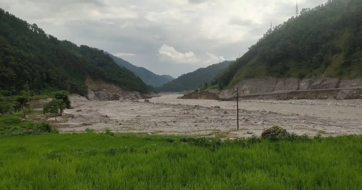 भोटेकोशीको विनाशकारी बाढीले रसुवाका उर्वर धानखेत बने बगर