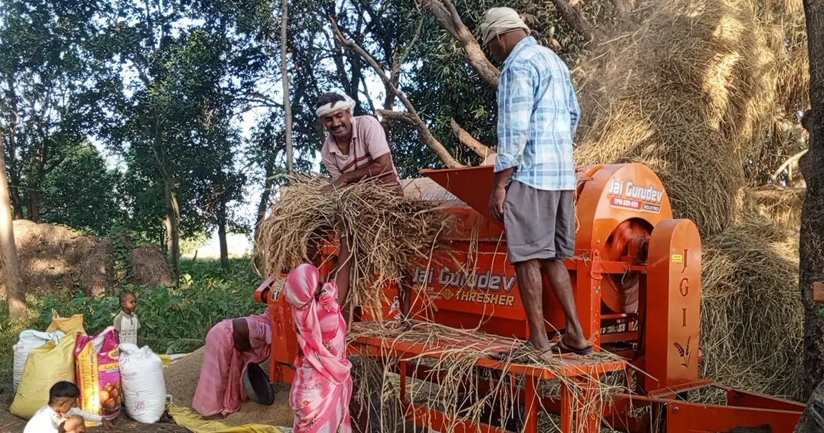 प्रतिघण्टा २५ सयदेखि ३ हजारसम्म भाडा, खेतमै पुगेर सजिलै धान र पराल छुट्याउँछ थ्रेसर